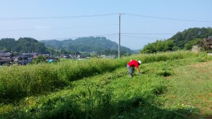 20150802_083142
